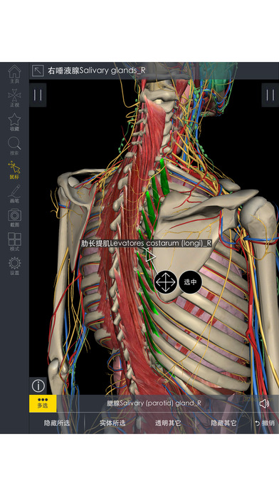 3dbody解剖软件截图5