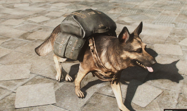 辐射4 狗用背包MOD