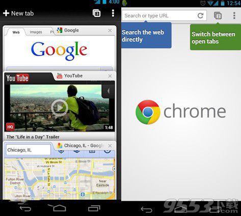 Google Chrome谷歌浏览器dve版