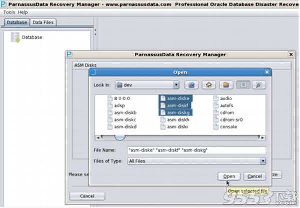 PRM-DUL Oracle数据库恢复工具