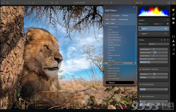 Luminar for mac