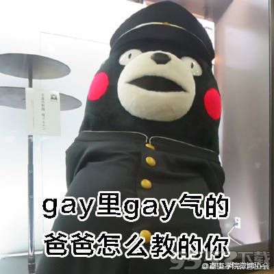 gay里gay气表情包