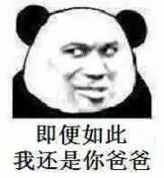 污节操熊猫斗图表情包 