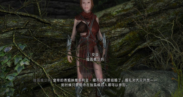 上古卷軸5：天際重制版 帝國女兵MOD