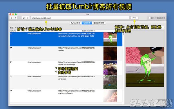 Tumblr视频批量抓取Mac版