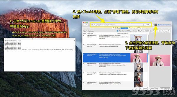 Tumblr视频批量抓取Mac版