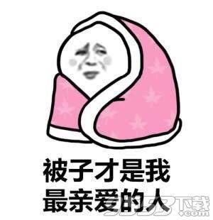 披被子表情包合集