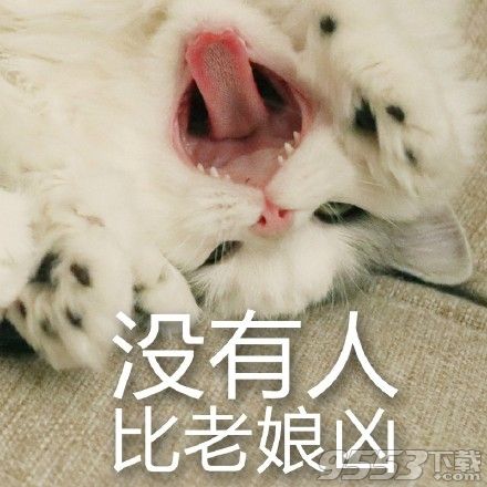 馒头猫超凶表情包