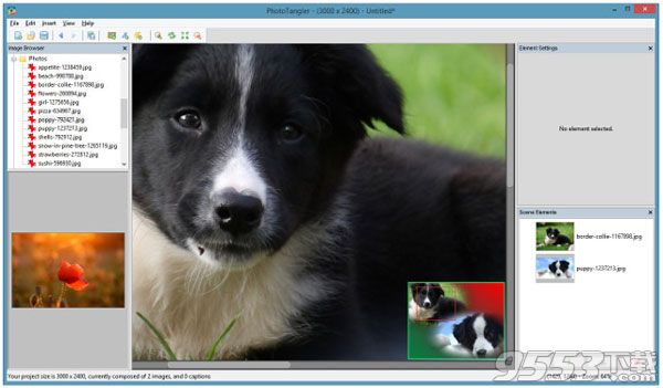 PhotoTangler Collage Maker for mac