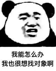 我能怎么办表情包