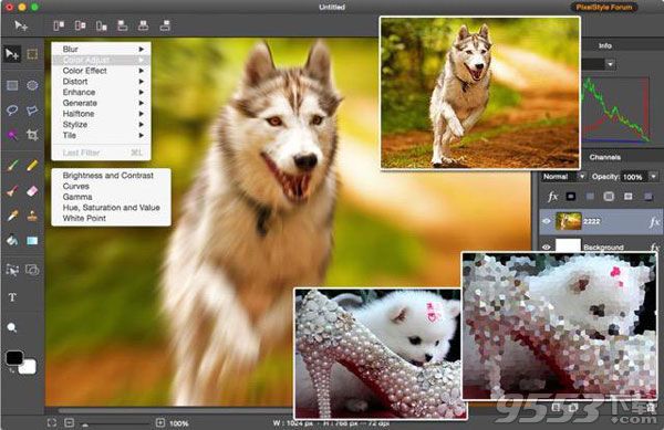 PixelStyle Photo Editor for Mac