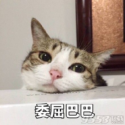 委屈巴巴猫表情包 