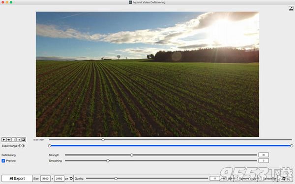 liquivid Video Deflickering Mac版