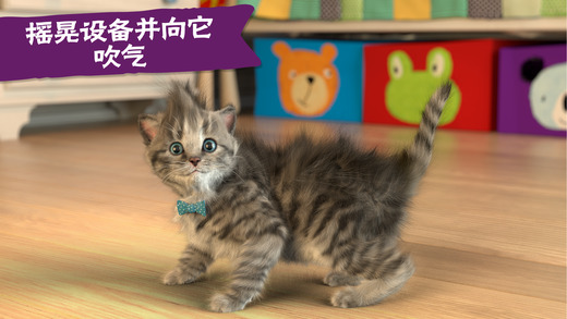 3D猫咪模拟器little kitten下载-little kitten我最喜爱的猫猫ios版下载v1.0图3