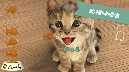 3D猫咪模拟器little kitten下载-little kitten我最喜爱的猫猫ios版下载v1.0图2