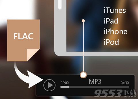 Any FLAC Converter for mac
