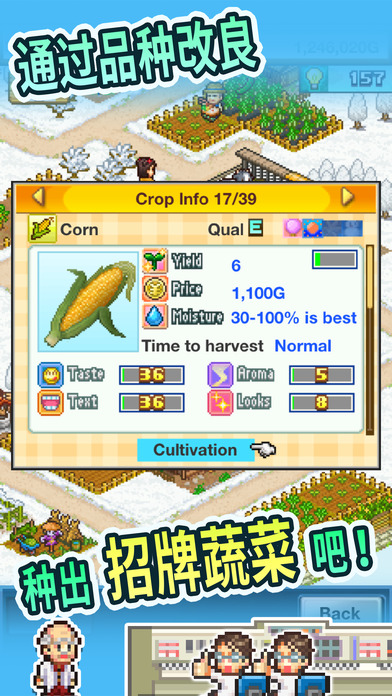 开罗晴空农场物语下载-晴空农场物语Pocket Harvest安卓版下载v1.0图4