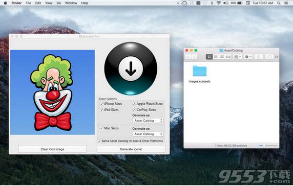 iSize Icons Pro for mac