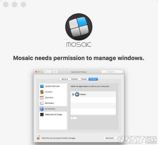 Mosaic Pro for Mac
