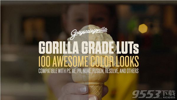 Greyscalegorilla Gorillla Grade LUTs for Mac