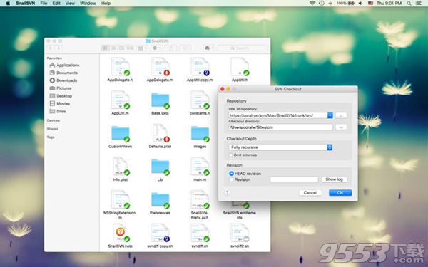 SnailSVN 专业版 for Mac