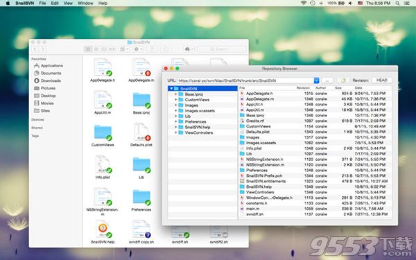SnailSVN 专业版 for Mac