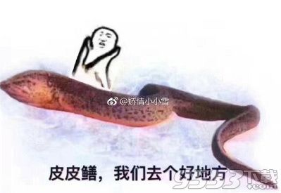 鱔魚我們走是什么梗 鱔魚我們走表情包下載