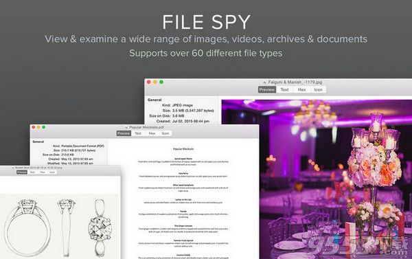 file spy Mac版