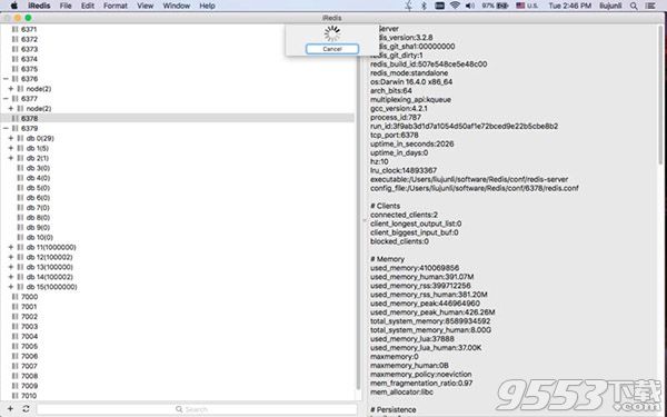 iRedis for Mac