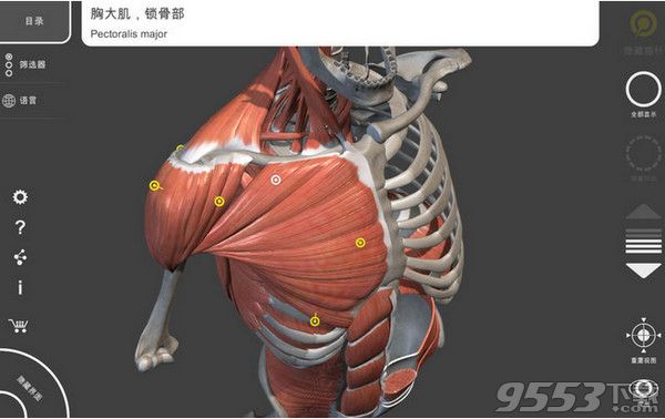 肌肉骨骼Mac版