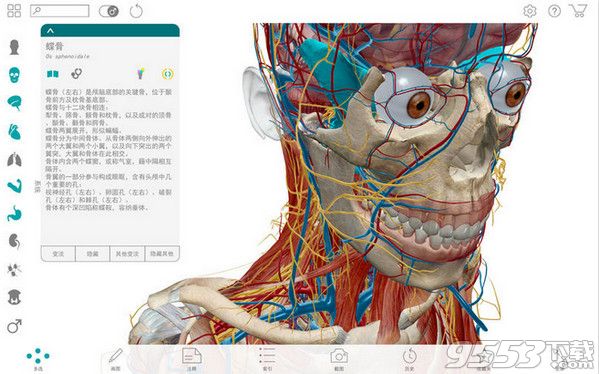 2017版人体解剖学图谱Mac中文版