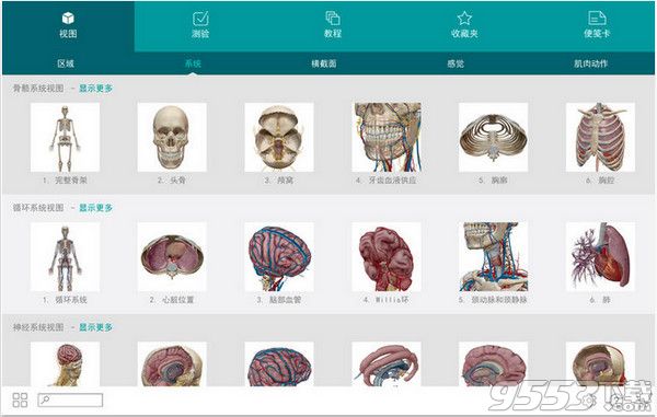 2017版人体解剖学图谱Mac中文版