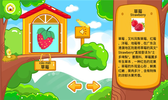 儿童宝宝认水果图片软件手机APP下载-儿童宝宝认水果官网最新版下载v3.2.28图3