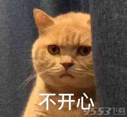 暗中委屈橘猫表情包