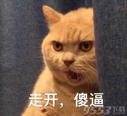 暗中委屈橘猫表情包