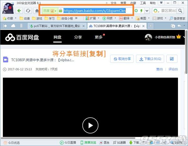 Pan Download ShareCopy.Demo