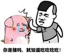 吃吃吃就知道吃系列表情包