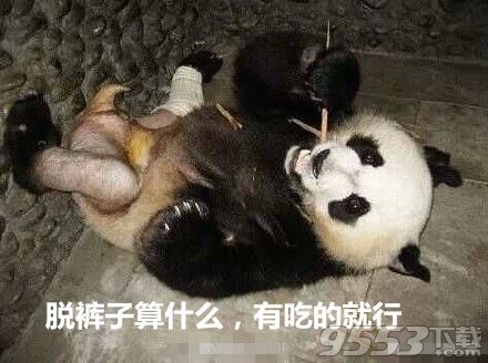 大熊猫脱裤子表情包