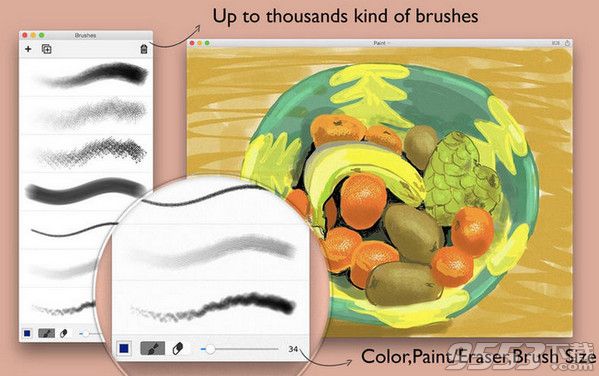 Paint Brushes Mac中文版