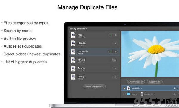 Duplicates Expert 4 Mac破解版