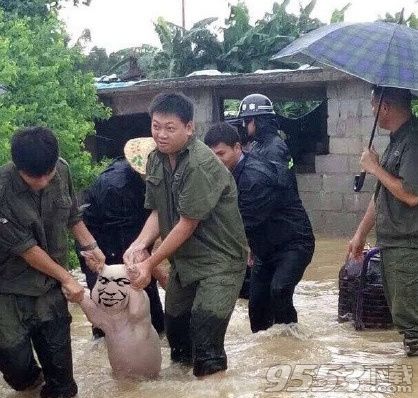 2017最新网红小猪表情包 网红小猪图片大全下载