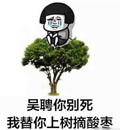 那年花开月正圆吴聘不要死表情包最新完整版