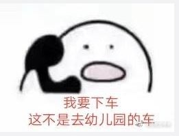 我要下车这不是去幼儿园的车表情包