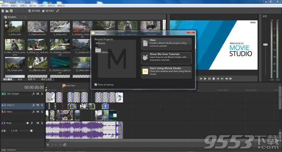 Movie Studio 14 简体中文版