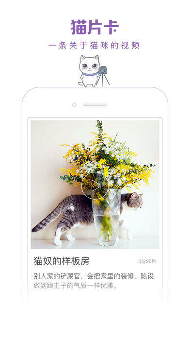 一日猫安卓版下载-一日猫app下载v2.1图2
