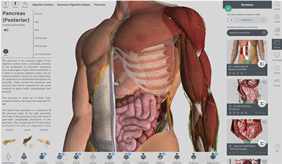 Complete Anatomy人体骨骼图3D高清截图1