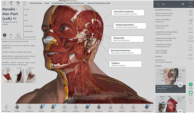 Complete Anatomy人體骨骼圖3D高清截圖3