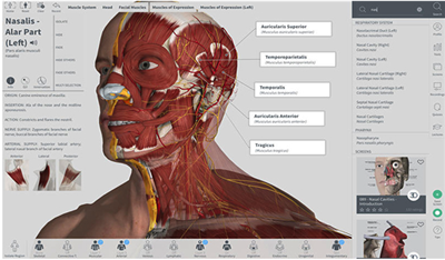 Complete Anatomy人体骨骼图3D免费版截图3