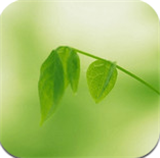 绿茶播放器app苹果版