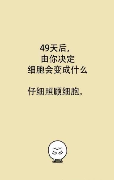 我的49天与细胞中文汉化破解版截图3